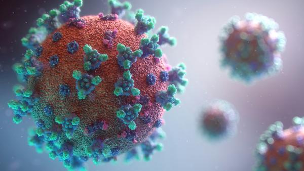 West Nile Virus Detected in Tehama County Chickens