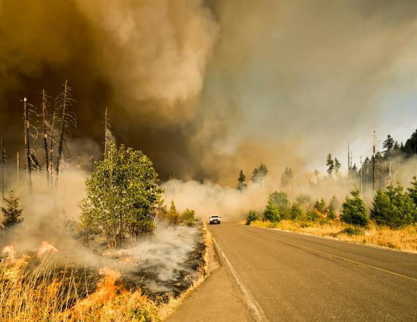 Santa Barbara County Wildfire Sparks Evacuations